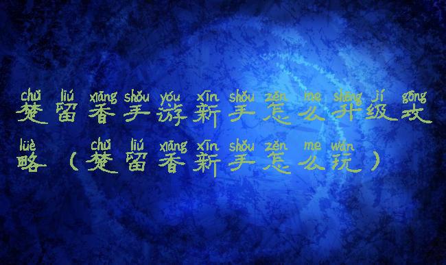 楚留香手游新手怎么升级攻略(楚留香新手怎么玩)