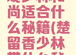 楚留香游戏少林和尚适合什么秘籍(楚留香少林带什么秘籍)