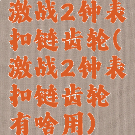 激战2钟表扣链齿轮(激战2钟表扣链齿轮有啥用)