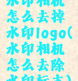 水印相机怎么去掉水印logo(水印相机怎么去除水印标志)