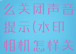 水印相机怎么关闭声音提示(水印相机怎样关闭声音)