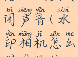 水印相机怎么设置关闭声音(水印相机怎么设置关闭声音功能)