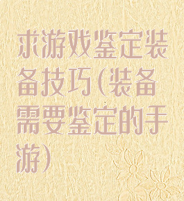 求游戏鉴定装备技巧(装备需要鉴定的手游)