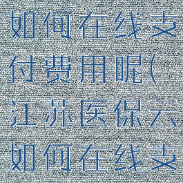 江苏医保云如何在线支付费用呢(江苏医保云如何在线支付费用呢)