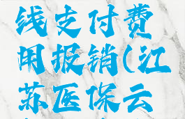 江苏医保云如何在线支付费用报销(江苏医保云怎么查余额)