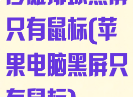 沙滩排球黑屏只有鼠标(苹果电脑黑屏只有鼠标)