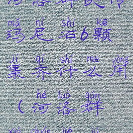 河洛群侠传玛尼石6颗集齐什么用(河洛群侠传结局)