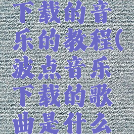 波点音乐下载的音乐的教程(波点音乐下载的歌曲是什么格式)