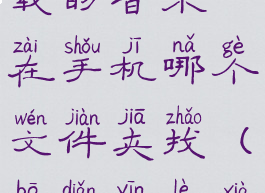 波点音乐下载的音乐在手机哪个文件夹找(波点音乐下载音乐)