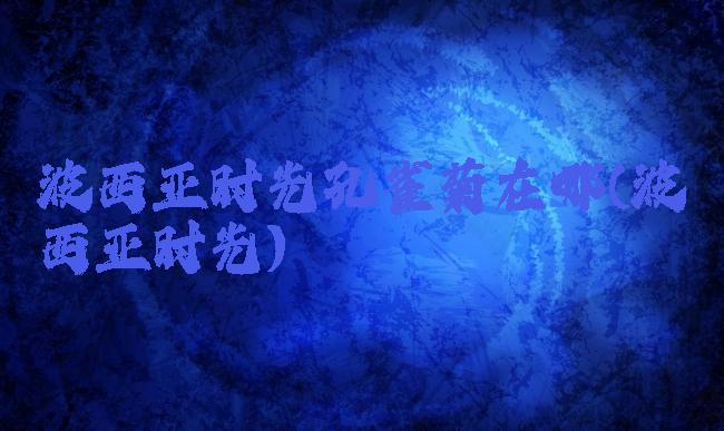 波西亚时光孔雀菊在哪(波西亚时光)