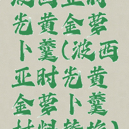 波西亚时光黄金萝卜羹(波西亚时光黄金萝卜羹材料替换)