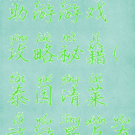 泰国清莱自助游游戏攻略秘籍(泰国清莱旅游景点有哪些)