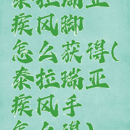 泰拉瑞亚疾风脚镯怎么获得(泰拉瑞亚疾风手镯怎么得)