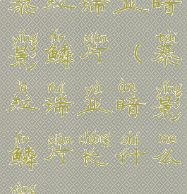 泰拉瑞亚暗影鳞片(泰拉瑞亚暗影鳞片长什么样)