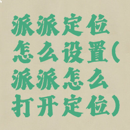 派派定位怎么设置(派派怎么打开定位)