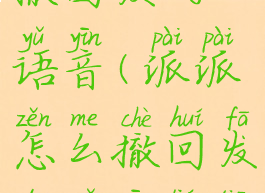 派派怎么撤回发的语音(派派怎么撤回发的语音聊天)