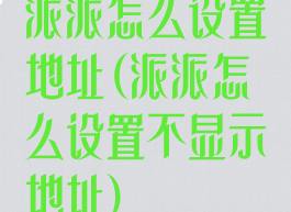 派派怎么设置地址(派派怎么设置不显示地址)