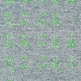 海豚加速器怎么加速(海豚加速器怎么加速下载)