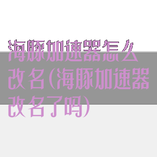 海豚加速器怎么改名(海豚加速器改名了吗)