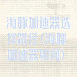 海豚加速器选择路径(海豚加速器如何)