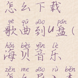 海贝音乐怎么下载歌曲到u盘(海贝音乐怎么导入本地歌曲)