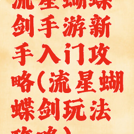 流星蝴蝶剑手游新手入门攻略(流星蝴蝶剑玩法攻略)