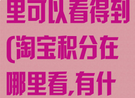 淘宝积分在哪里可以看得到(淘宝积分在哪里看,有什么用)