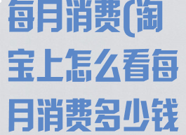 淘宝上怎么看每月消费(淘宝上怎么看每月消费多少钱)