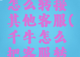 淘宝千牛怎么转接其他客服(千牛怎么把客服转别人)
