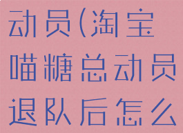 淘宝喵糖总动员(淘宝喵糖总动员退队后怎么重新组队)