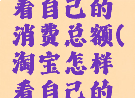 淘宝如何看自己的消费总额(淘宝怎样看自己的消费总额)