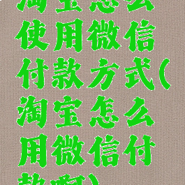 淘宝怎么使用微信付款方式(淘宝怎么用微信付款啊)