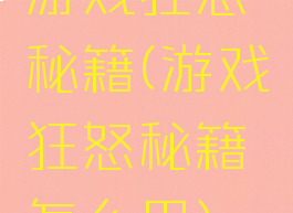 游戏狂怒秘籍(游戏狂怒秘籍怎么用)