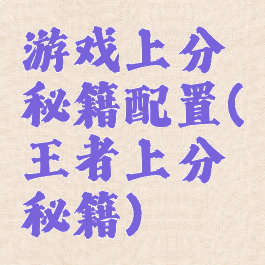 游戏上分秘籍配置(王者上分秘籍)