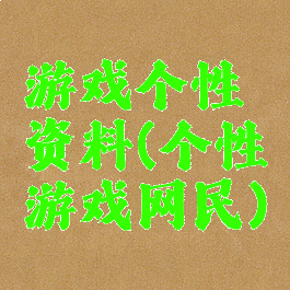 游戏个性资料(个性游戏网民)
