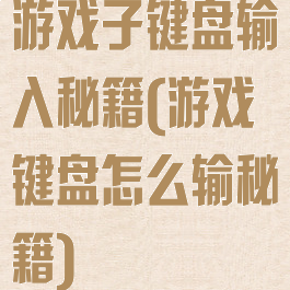 游戏子键盘输入秘籍(游戏键盘怎么输秘籍)