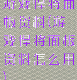 游戏悍将面板资料(游戏悍将面板资料怎么用)