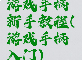 游戏手柄新手教程(游戏手柄入门)