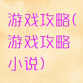 游戏攻略(游戏攻略小说)