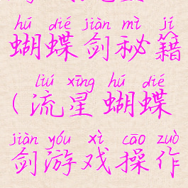 游戏流星蝴蝶剑秘籍(流星蝴蝶剑游戏操作)