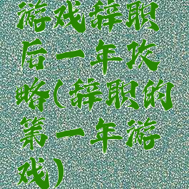 游戏辞职后一年攻略(辞职的第一年游戏)