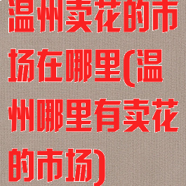 温州卖花的市场在哪里(温州哪里有卖花的市场)