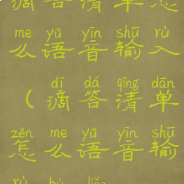 滴答清单怎么语音输入(滴答清单怎么语音输入不了)