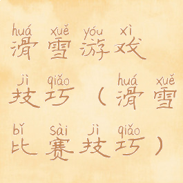 滑雪游戏技巧(滑雪比赛技巧)