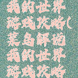 菜鸟解说我的世界游戏攻略(菜鸟解说我的世界游戏攻略视频)