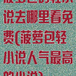 菠萝包的轻小说去哪里看免费(菠萝包轻小说人气最高的小说)
