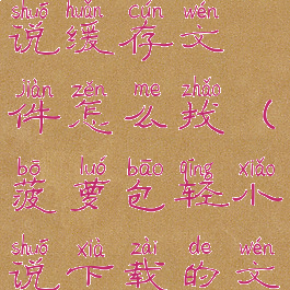 菠萝包轻小说缓存文件怎么找(菠萝包轻小说下载的文件在哪)