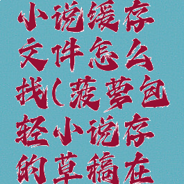 菠萝包轻小说缓存文件怎么找(菠萝包轻小说存的草稿在哪里)