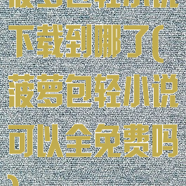 菠萝包轻小说下载到哪了(菠萝包轻小说可以全免费吗)