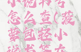 菠萝包轻小说书号怎么查(菠萝包轻小说书签在哪看)